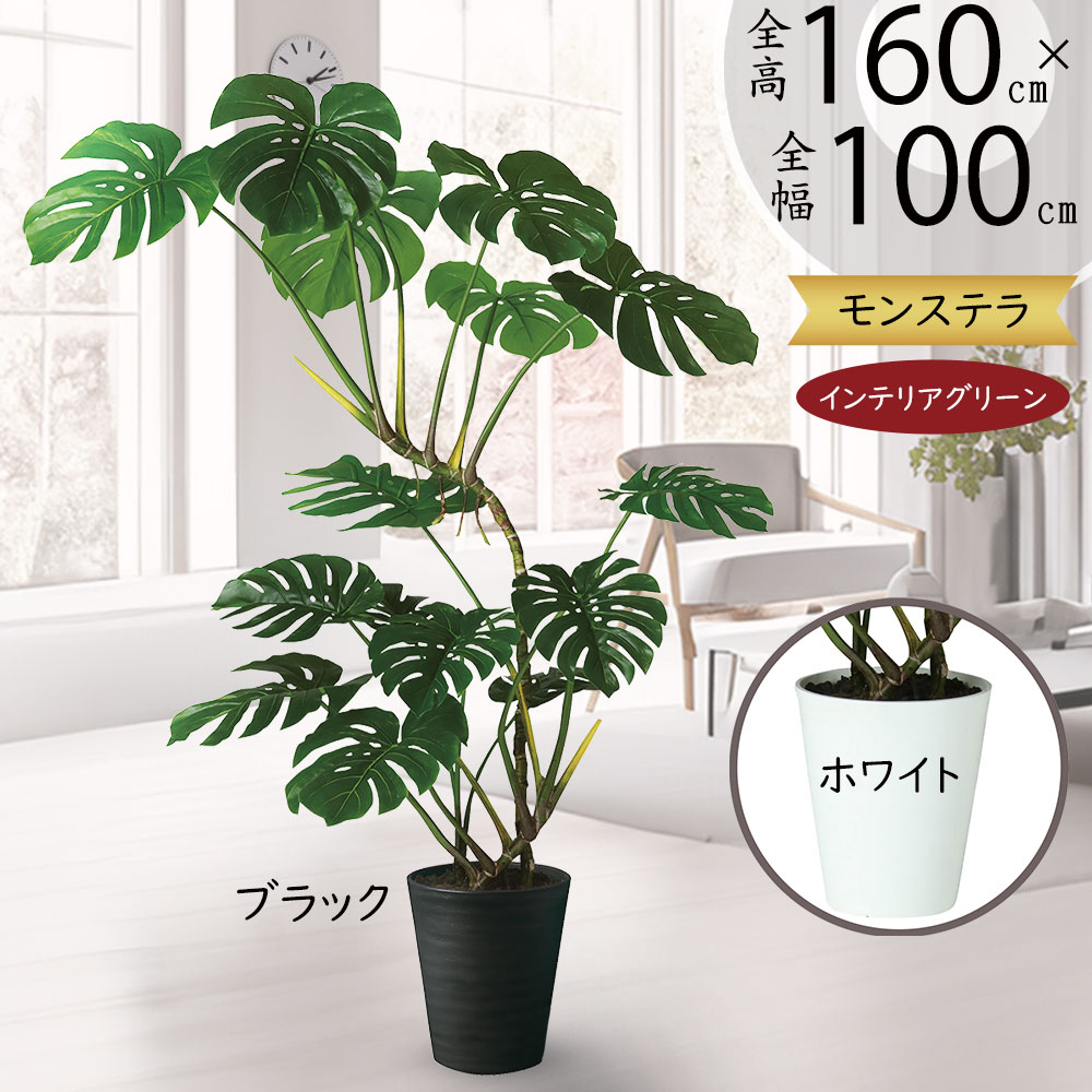 楽天市場】フェイクグリーン モンステラ おしゃれ 人気 おすすめ
