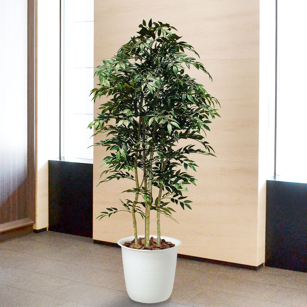 楽天市場】フェイクグリーン おしゃれ 人気 ベンジャミン フィカス