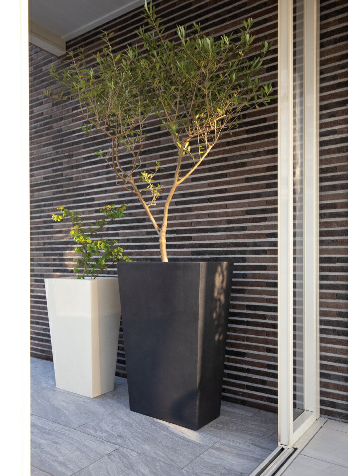 楽天市場】【NEW!】プランター 大型 屋外/屋内 KERN TRAPEZ トラペズ