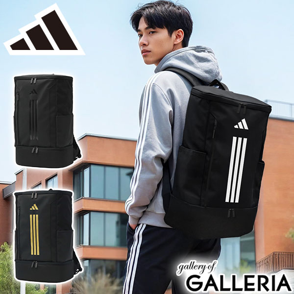 楽天市場】【10%OFFクーポン11日2時迄】【最大53倍 3/10迄