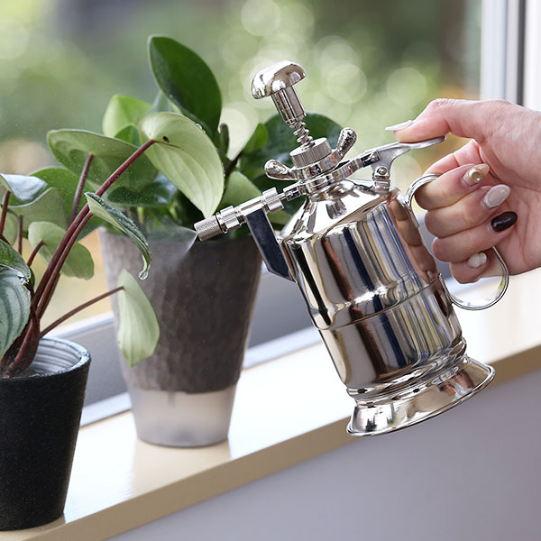 楽天市場】【3/5限定☆抽選で2人に1人最大100%ポイントバック☆要