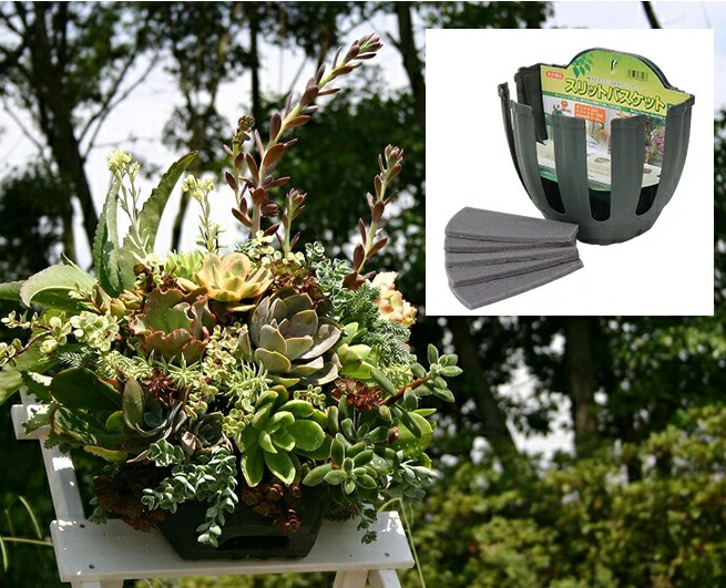 楽天市場】伊藤商事 スリットバスケット SLT-25 〜ハンギング