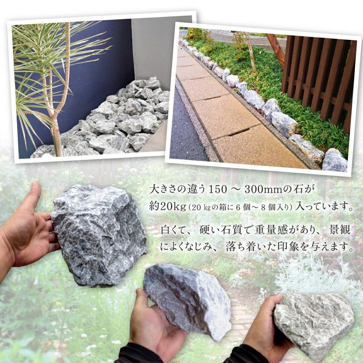 楽天市場】【ポイント5倍】白砕石 20kg 150mm〜300mm 割栗石 ロック