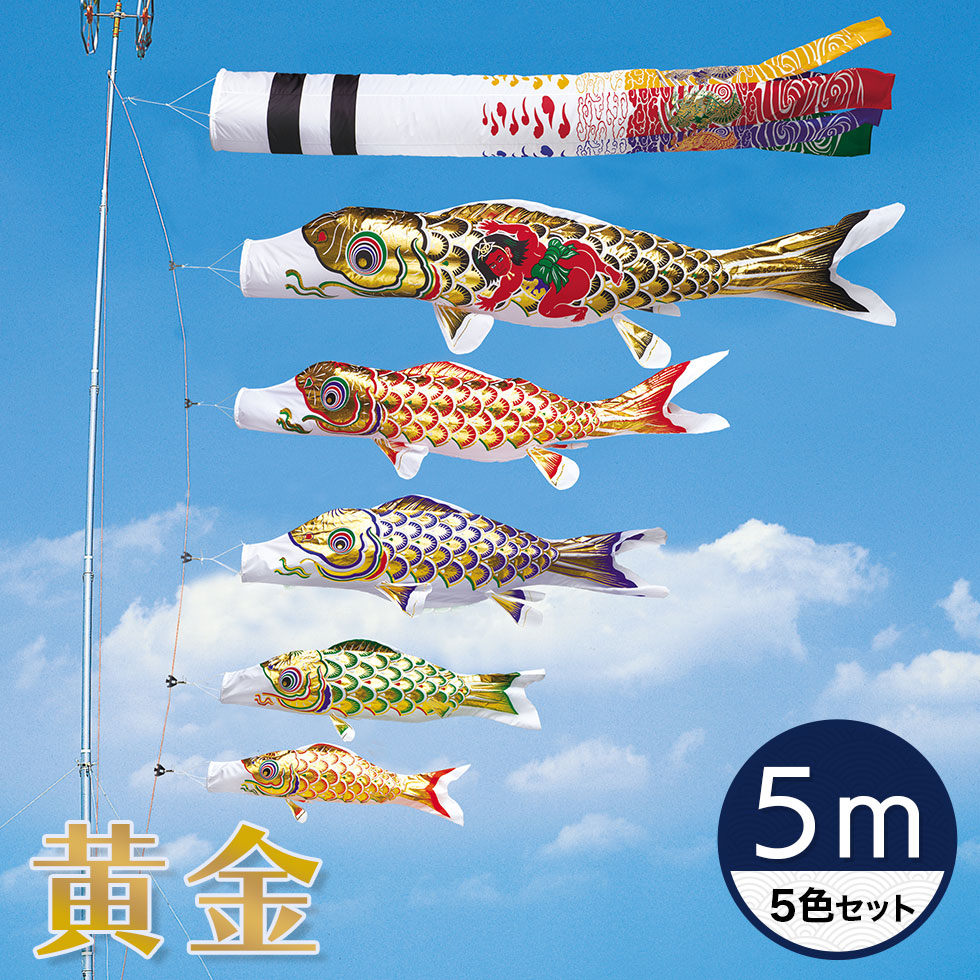 楽天市場】黄金金太郎鯉 5mの通販