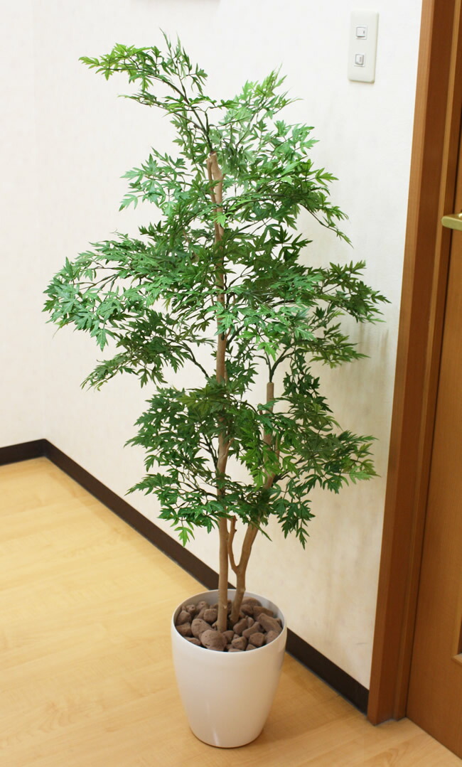 楽天市場】光触媒 人工観葉植物光の楽園 ポリシャス 高さ1.3m