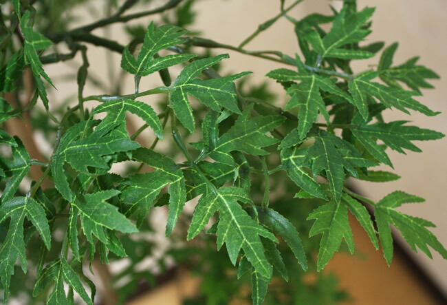 楽天市場】光触媒 人工観葉植物光の楽園 ポリシャス 高さ1.3m