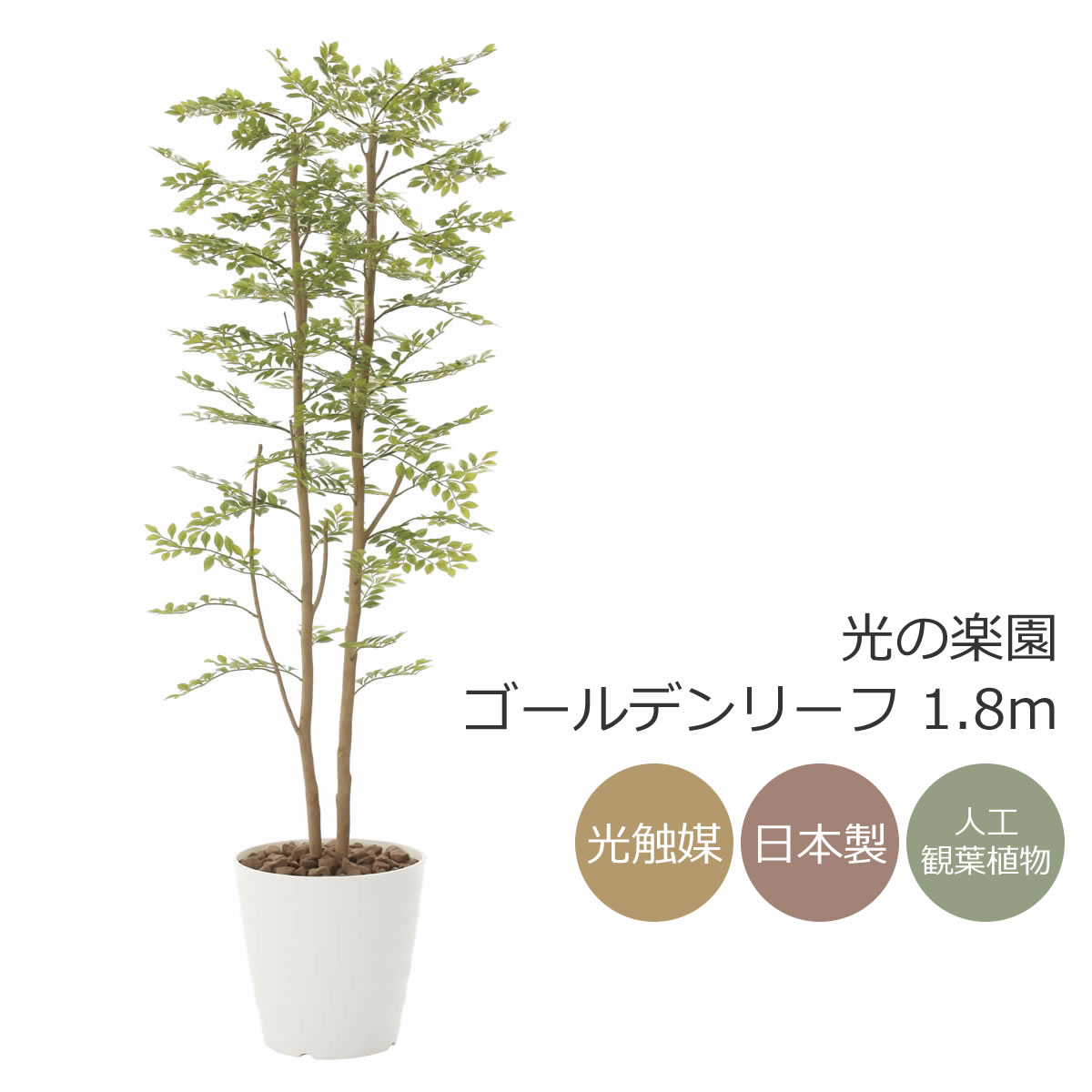楽天市場】光触媒 光の楽園 ゴールデンリーフ 1.8m インテリア