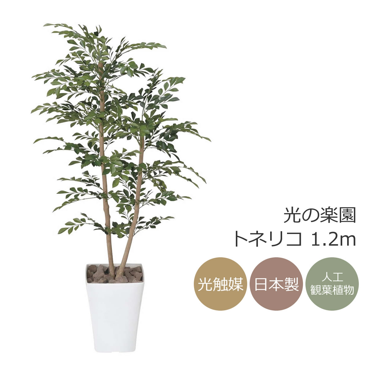 楽天市場】光触媒 光の楽園 トネリコ 1.2m【インテリア フェイク