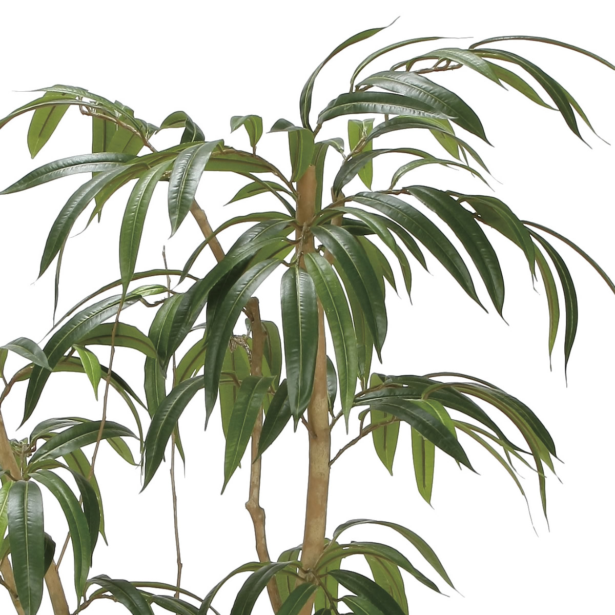 楽天市場】光触媒 光の楽園 ショウナンゴム1.3m フェイクグリーン 人工