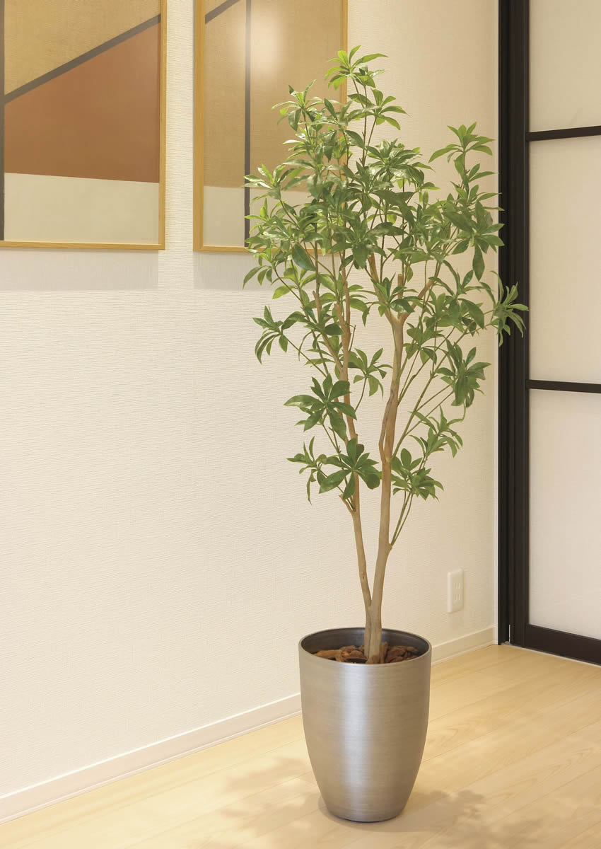 楽天市場】光触媒 光の楽園 インテリアフレッシュアセビ1.7m