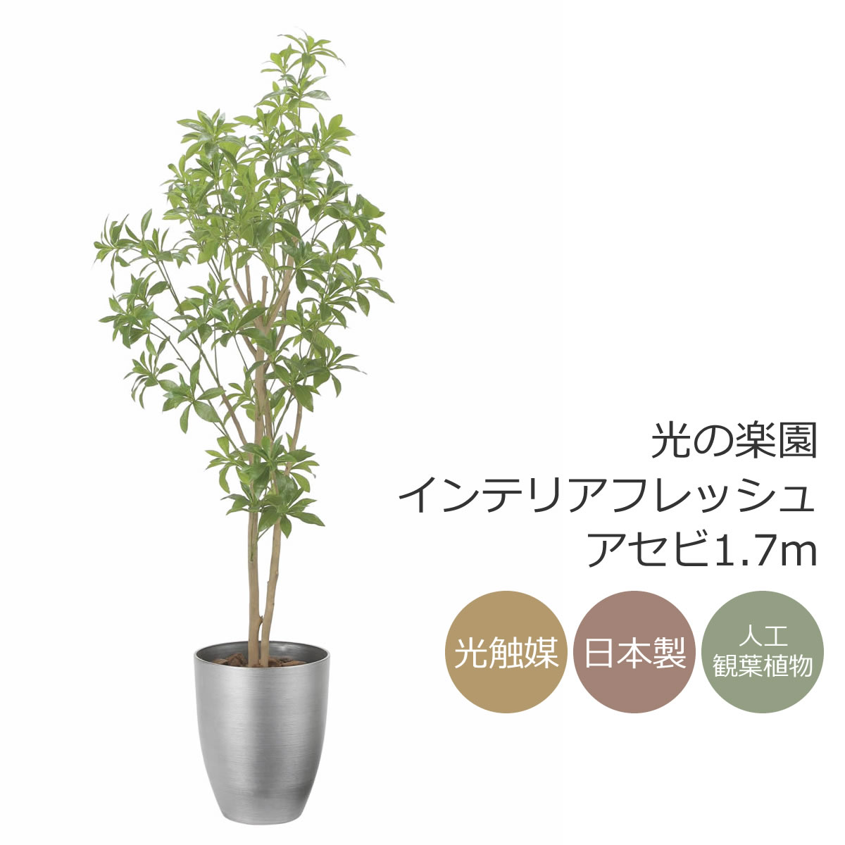 楽天市場】光触媒 光の楽園 インテリアフレッシュアセビ1.7m