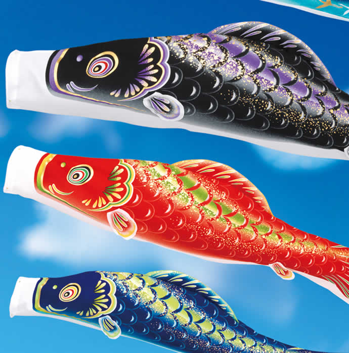 楽天市場】こいのぼり 旭天竜 鯉のぼり 庭園用 5m6点セット 彩風 撥水