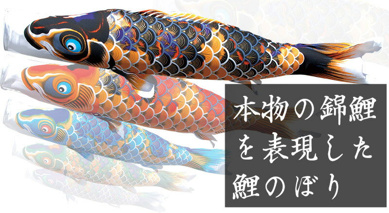 楽天市場】こいのぼり 徳永鯉 鯉のぼり 単品 2m ちりめん京錦 黒鯉