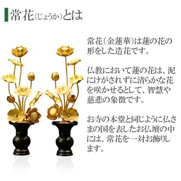 楽天市場】常花 仏具 仏壇用金の花 蓮の花 常花蓮華 金蓮華 7号9本立て