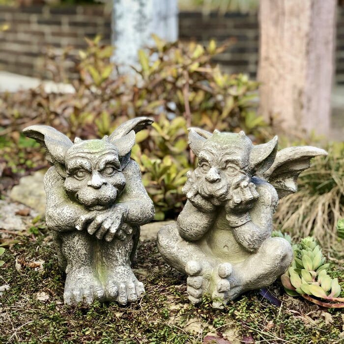 楽天市場】【野川農園】ガーゴイル 2匹セット 11666【ガーゴイル