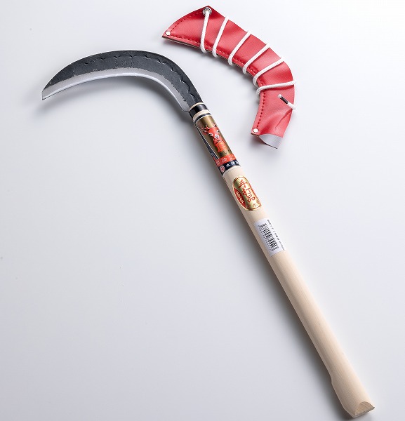 4580149745513_1.jpg?fitin=272:272