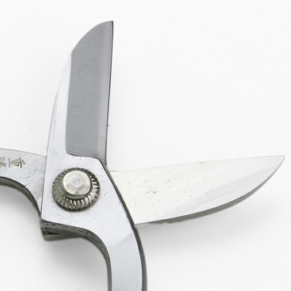 楽天市場】重勝 華道鋏 池ノ坊 165mm ステンレス (華道 生花