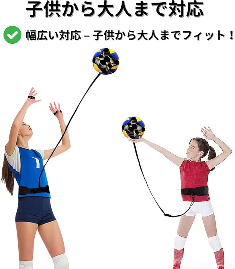 楽天市場】【楽天ランキング1位入賞】バレーボール 練習器具 個人練習