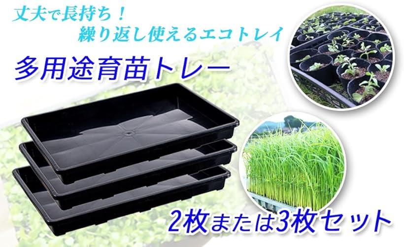 楽天市場】【楽天ランキング1位入賞】育苗トレー 受け皿 ガーデニング