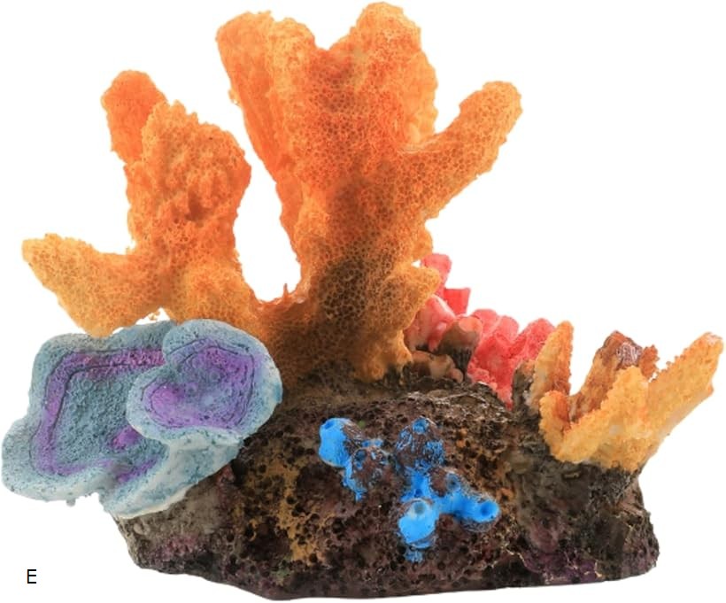 楽天市場】テーブルサンゴ 飾りサンゴの通販