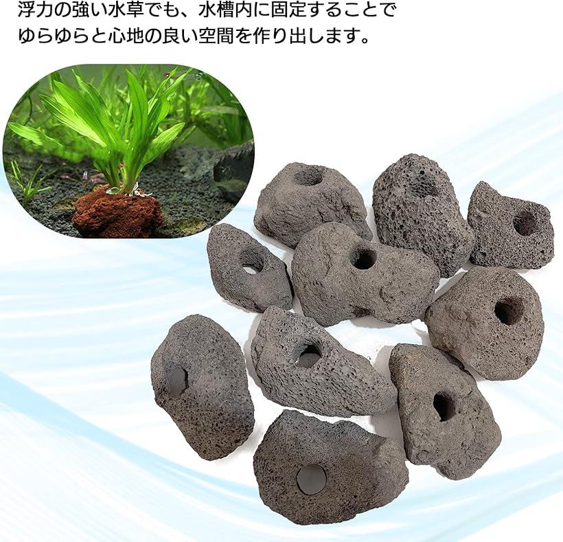 楽天市場】モデルノ ラ テール 溶岩石 穴あき アクアリウム オブジェ