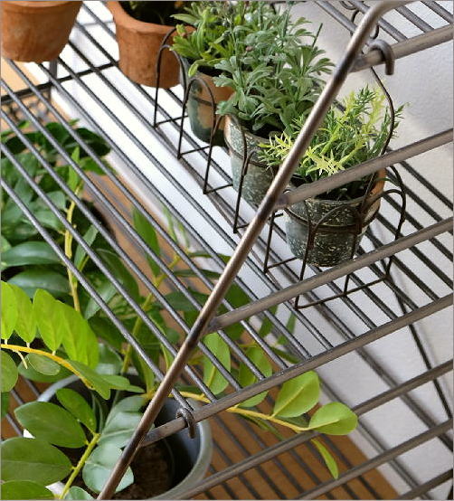 楽天市場】オープンラック 3段 アイアン 可動棚 オープンシェルフ 観葉