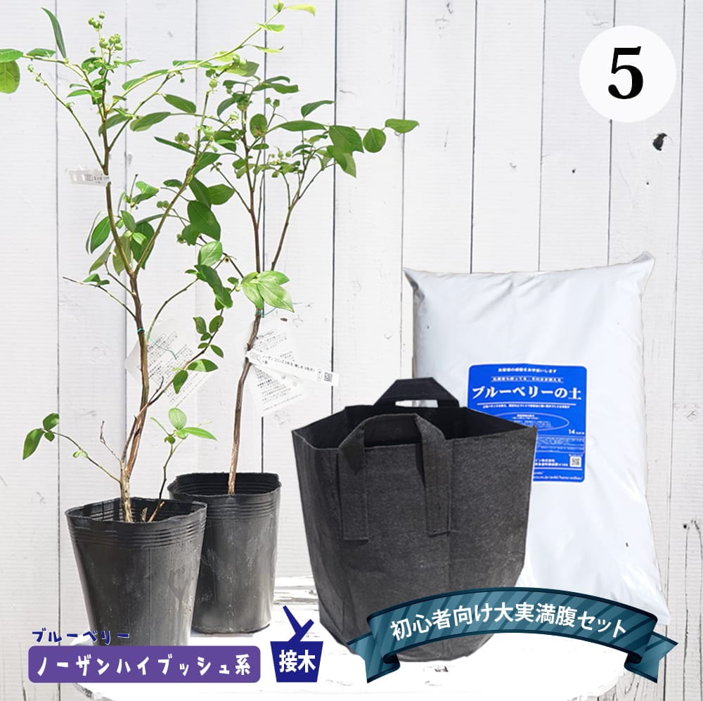 苗 ブルーベリー セット」の人気商品一覧 | 安い商品を通販サイトから