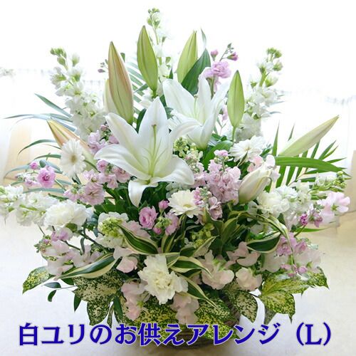 楽天市場】【送料無料 即日発送】大輪 白百合 お供え花(フラワー