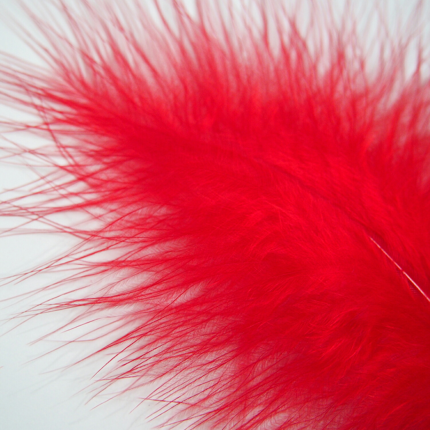 楽天市場】マラブー(10本)レッド フライタイイング 羽根 フライ