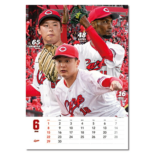 楽天市場】カープ カレンダー 2025年 広島東洋カープ 壁掛け A2サイズ