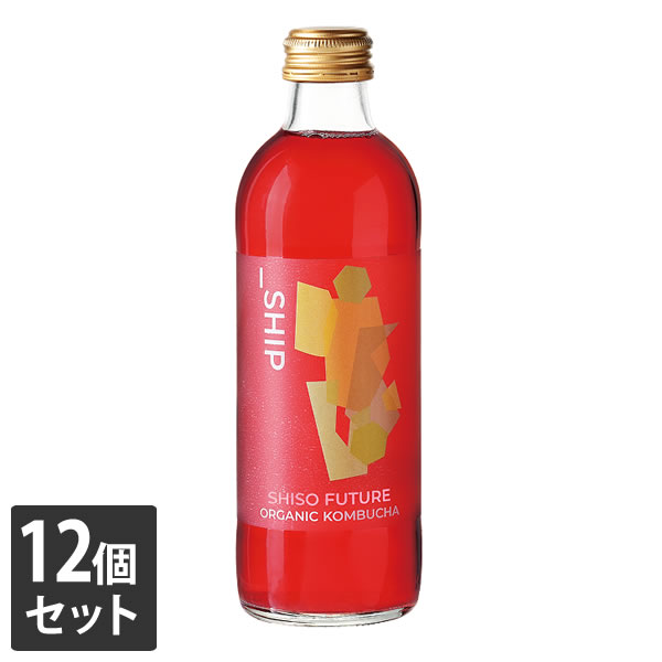 楽天市場】【3980円以上送料無料】大泉工場 コンブチャ SHISO FUTURE