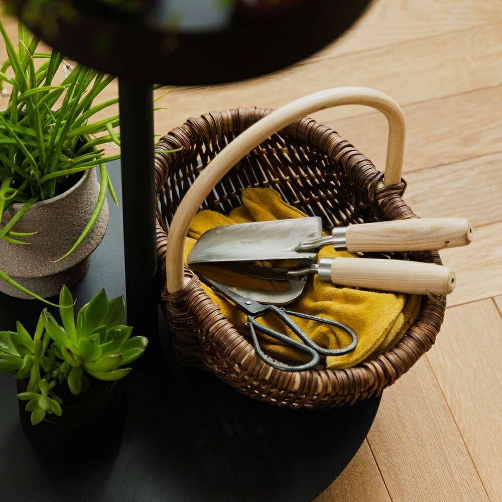 楽天市場】【公式】DRAW A LINE ドローアラインMove SET Hook B+Tray×2