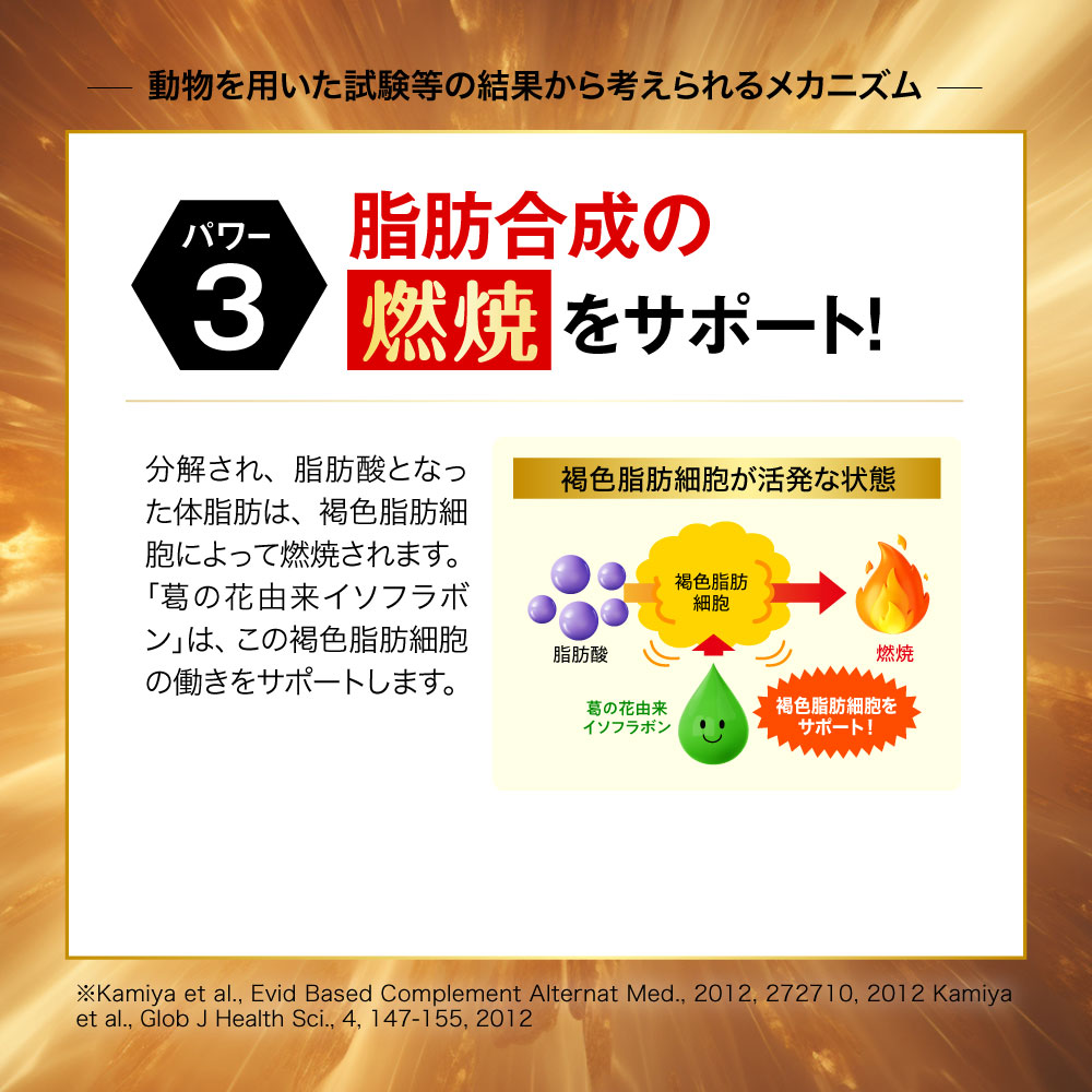 楽天市場】【公式】 シボヘール3 機能性表示食品 約30日分 ダイエ