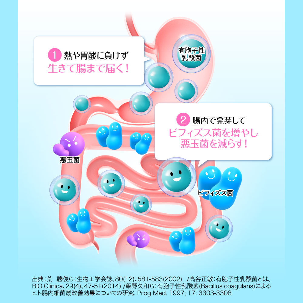 楽天市場】【公式】 シボヘール3 機能性表示食品 約30日分 ダイエ