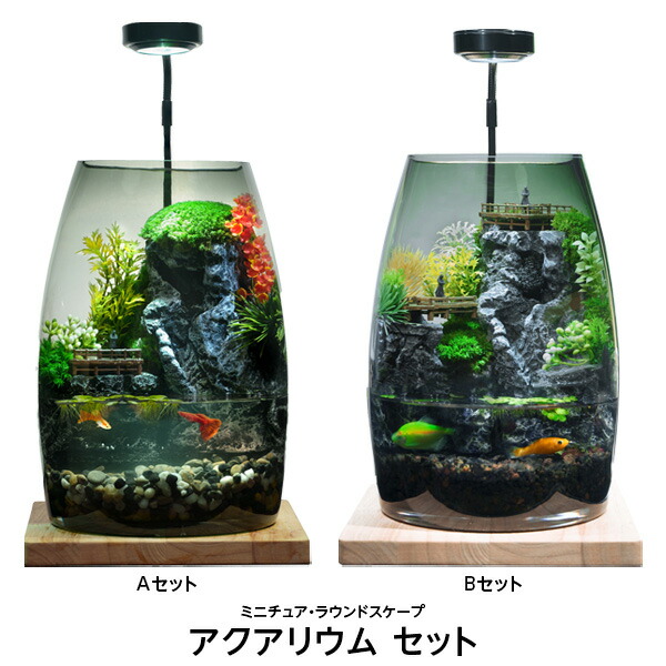 楽天市場】アクアリウム セット ミニチュア ラウンドスケープ