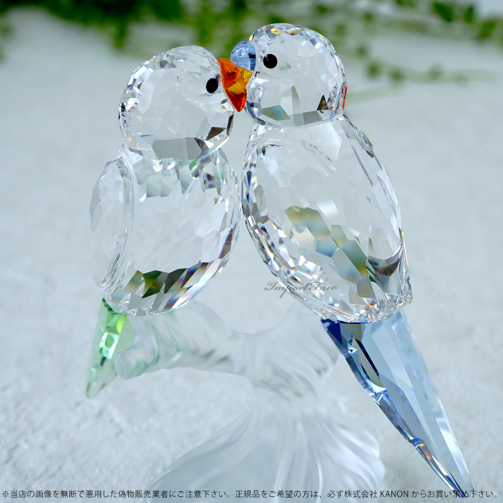 楽天市場】スワロフスキー Swarovski セキセイインコ 鳥 680627 ギフト