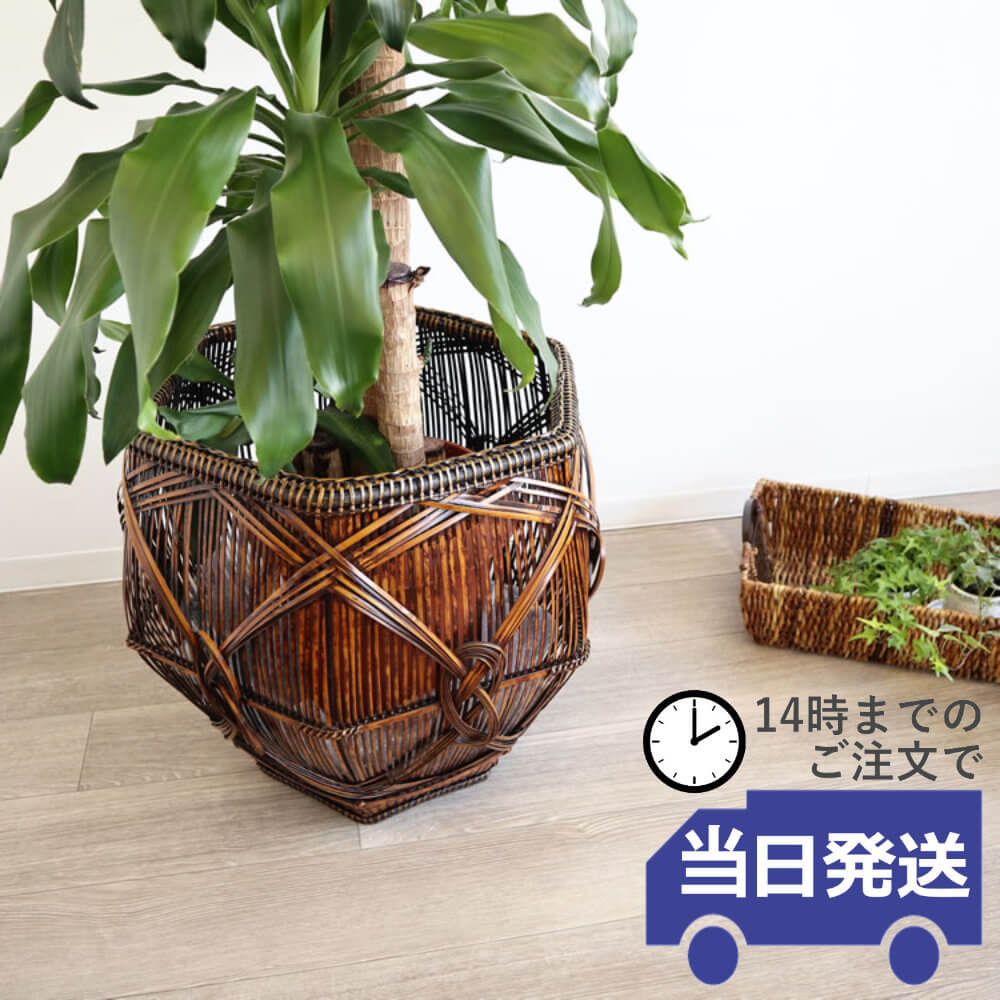 楽天市場】【当日発送】鉢カバー 大型 ラタン 高級 収納 アジアン