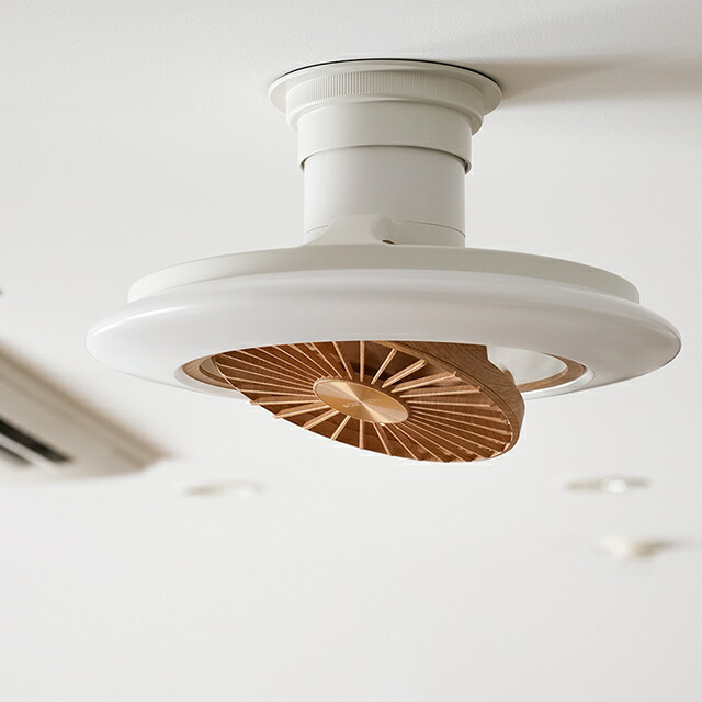 楽天市場】【楽天1位】【選べる豪華特典】 ドウシシャ サーキュライト