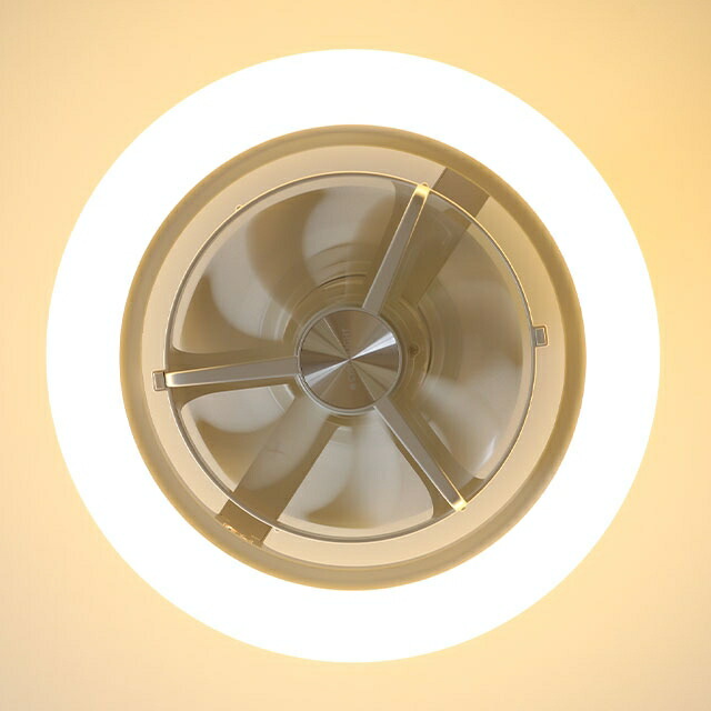 楽天市場】【楽天2位】ドウシシャ 【選べる豪華特典】 サーキュライト