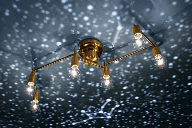 楽天市場】【インターフォルム公式】 シーリングライト ポラーレ