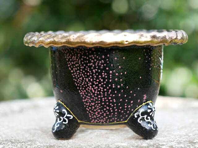 楽天市場】京楽焼 植木鉢 愛楽園製 富貴蘭鉢 縄縁 青龍紋 3.3号 (現品