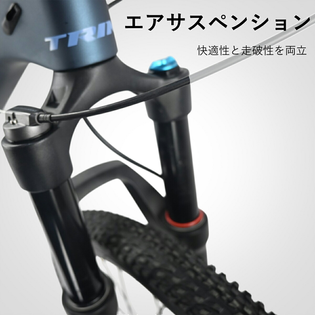 楽天市場】【スーパーSALE☆特別価格 5900円OFF＆P2倍】【送料無料