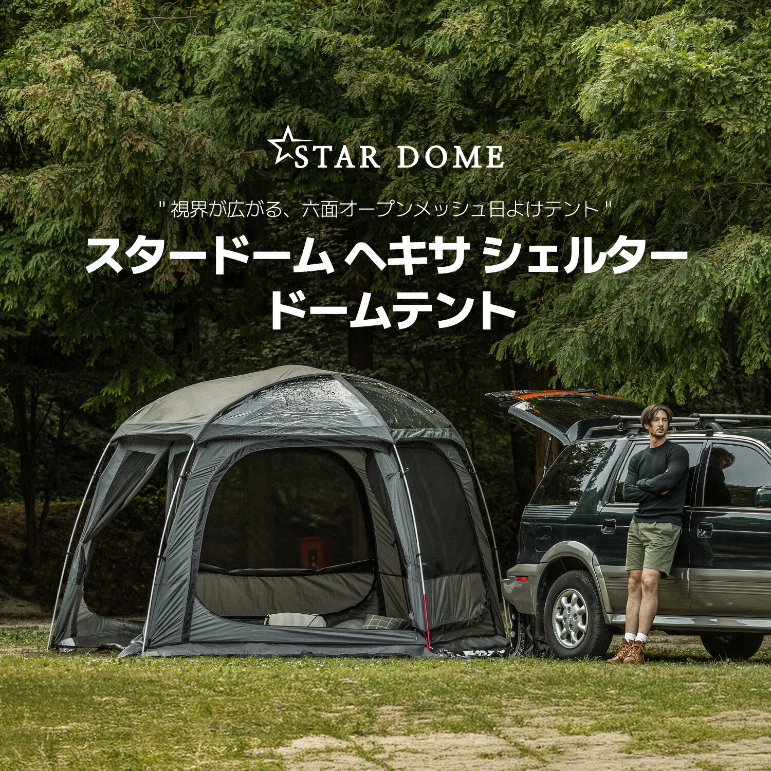 楽天市場】＼レビューで1000円クーポン!／ 【5〜6人用】プレーナ