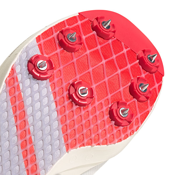 楽天市場】☆プレゼントキャンペーン対象☆【クーポン対象外