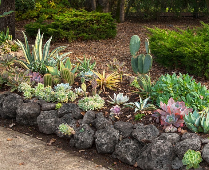 楽天市場】溶岩石 庭石 黒 溶岩 石 ロックガーデン ブラックカル 10kg