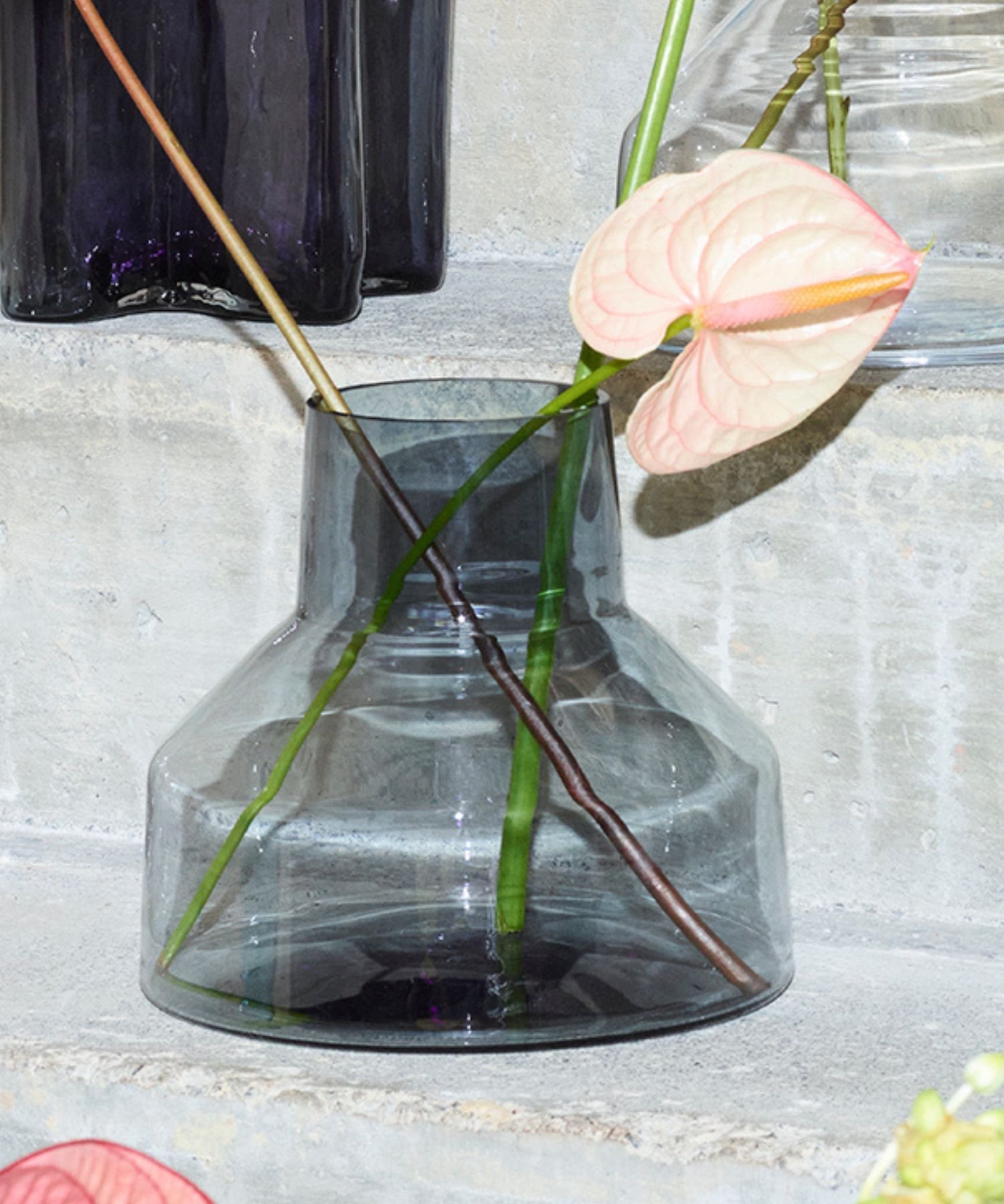 IITTALA｜[公式] イッタラ ソラーレ ベース 220*200mm | Rakuten