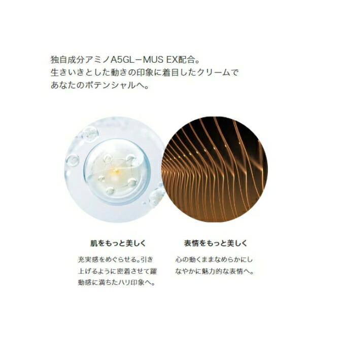 楽天市場】IPSA(イプサ) クリームキット クリーム アルティメイトe