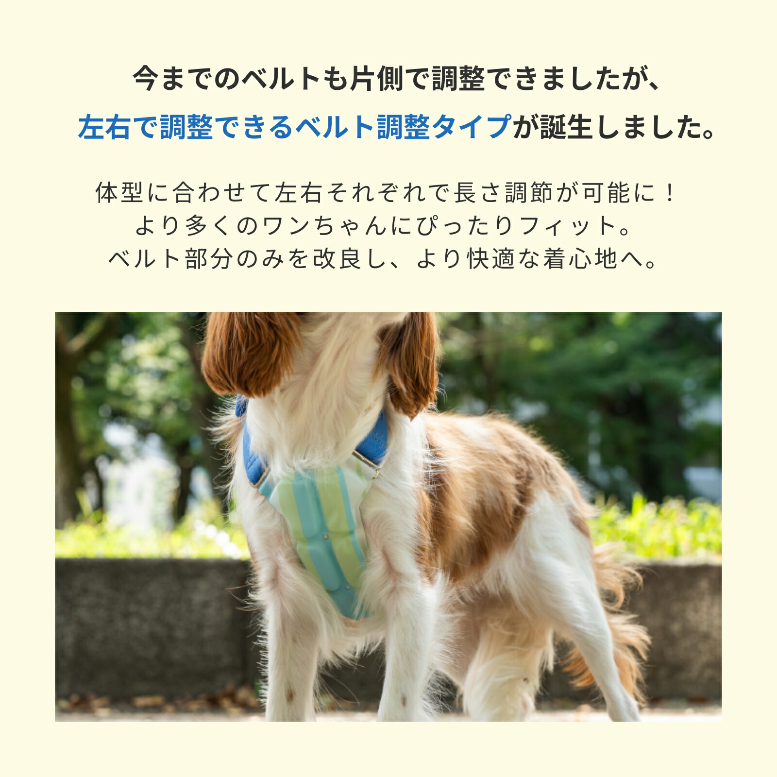 楽天市場】SUO(R) 公式 2026年新商品 Made ln Japan 特許取得済 SUO