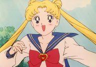 楽天市場】セーラームーン 月野うさぎの通販