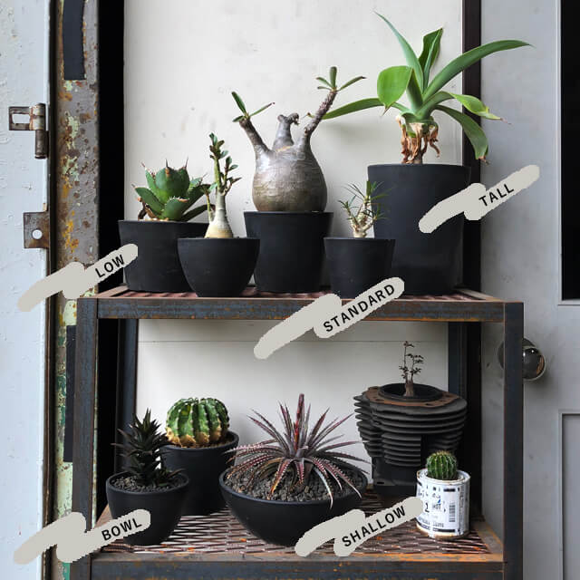 楽天市場】BLACK PLASTIC POT【STANDARD TYPE】25.5cm×20cm 黒 プラ鉢